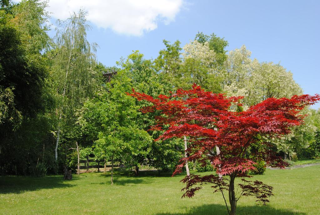 Villa Hedi Дунакилити Екстериор снимка