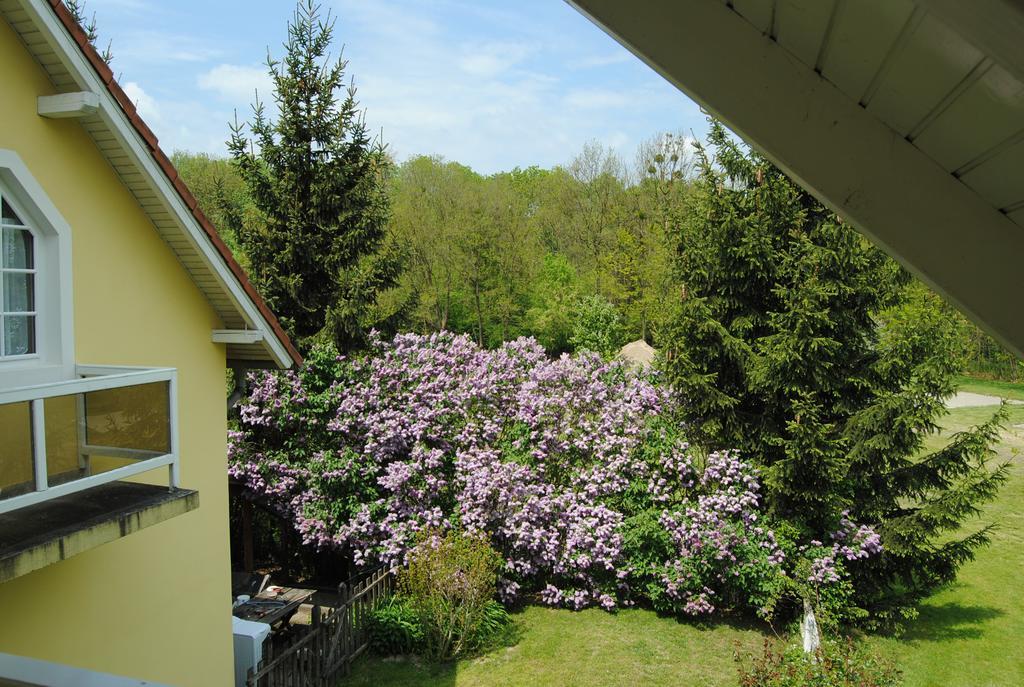 Villa Hedi Дунакилити Екстериор снимка